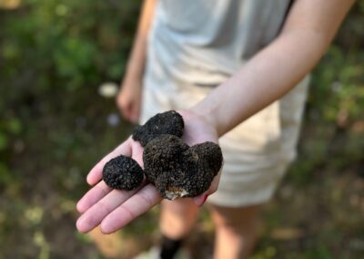 SLIDER CACCIAO AL TARTUFO