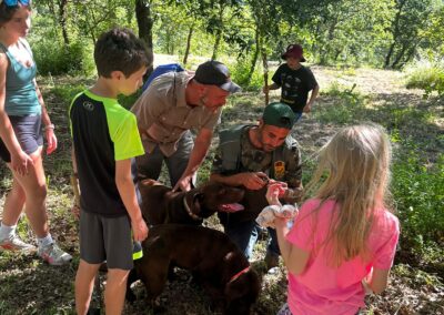 SLIDER CACCIAO AL TARTUFO