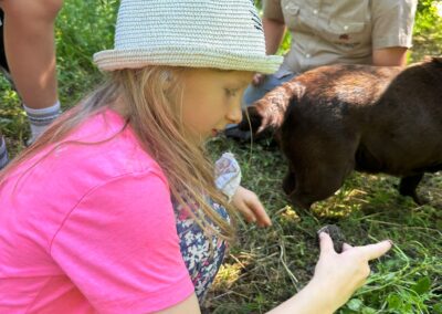 SLIDER CACCIAO AL TARTUFO