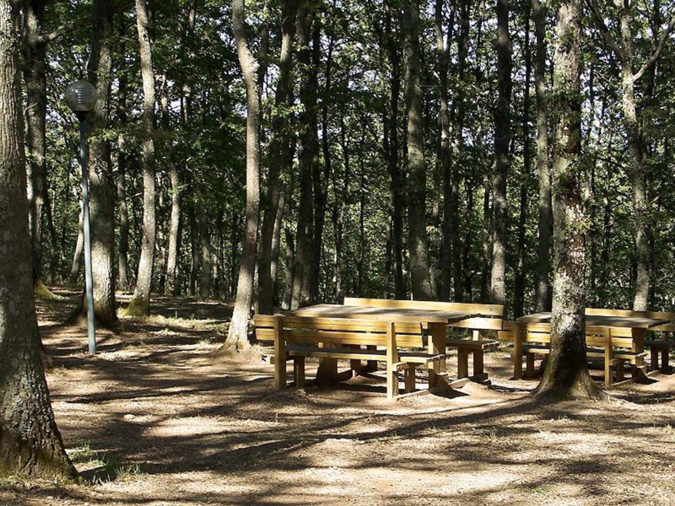 attività nella natura intorno a Valle Libera Umbria