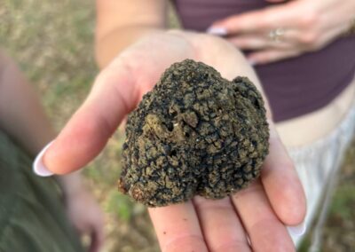 SLIDER CACCIAO AL TARTUFO