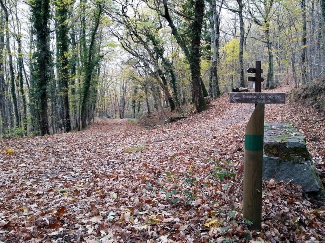 attività nella natura intorno a Valle Libera Umbria