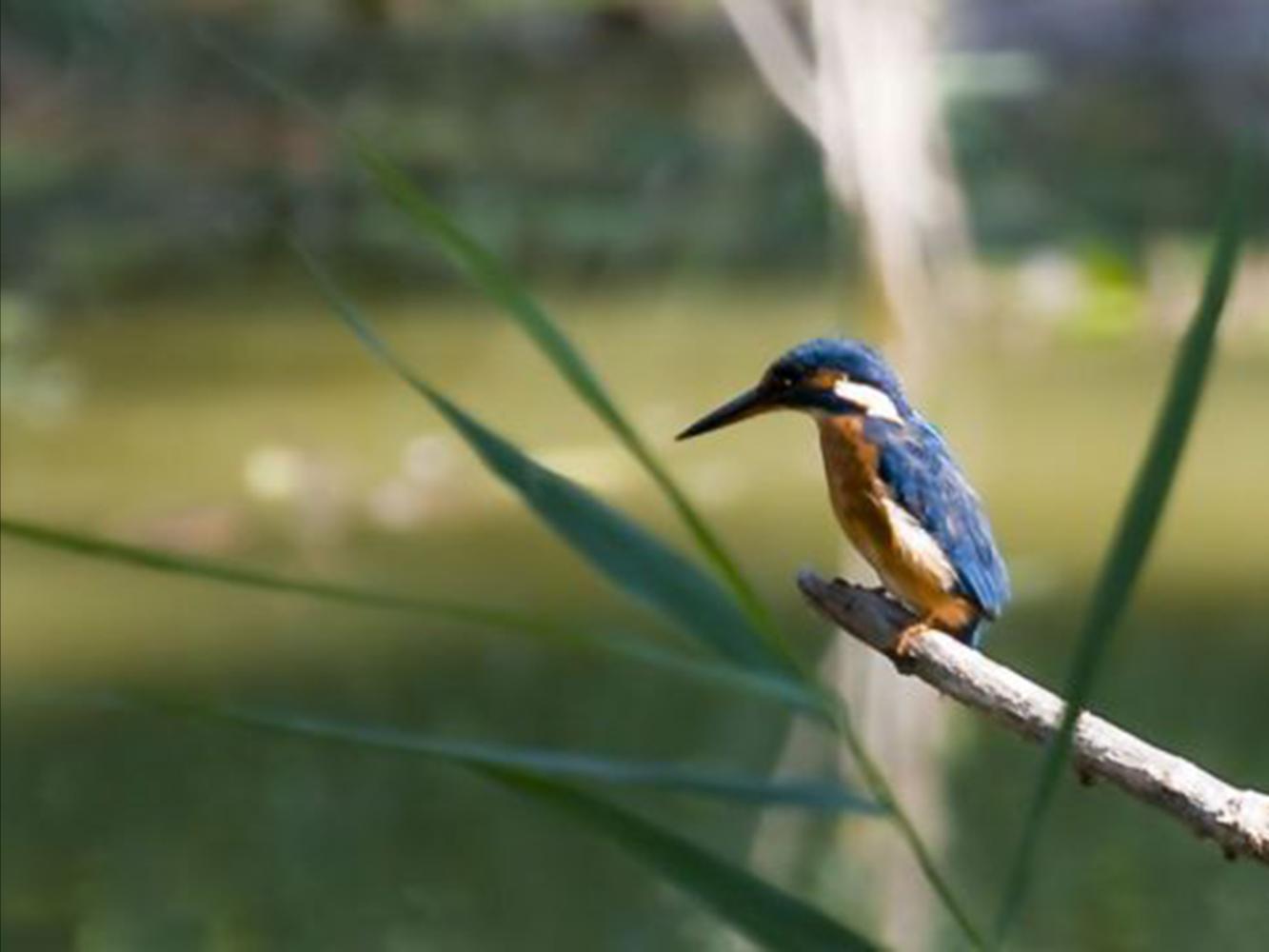 attività nella natura intorno a Valle Libera Umbria