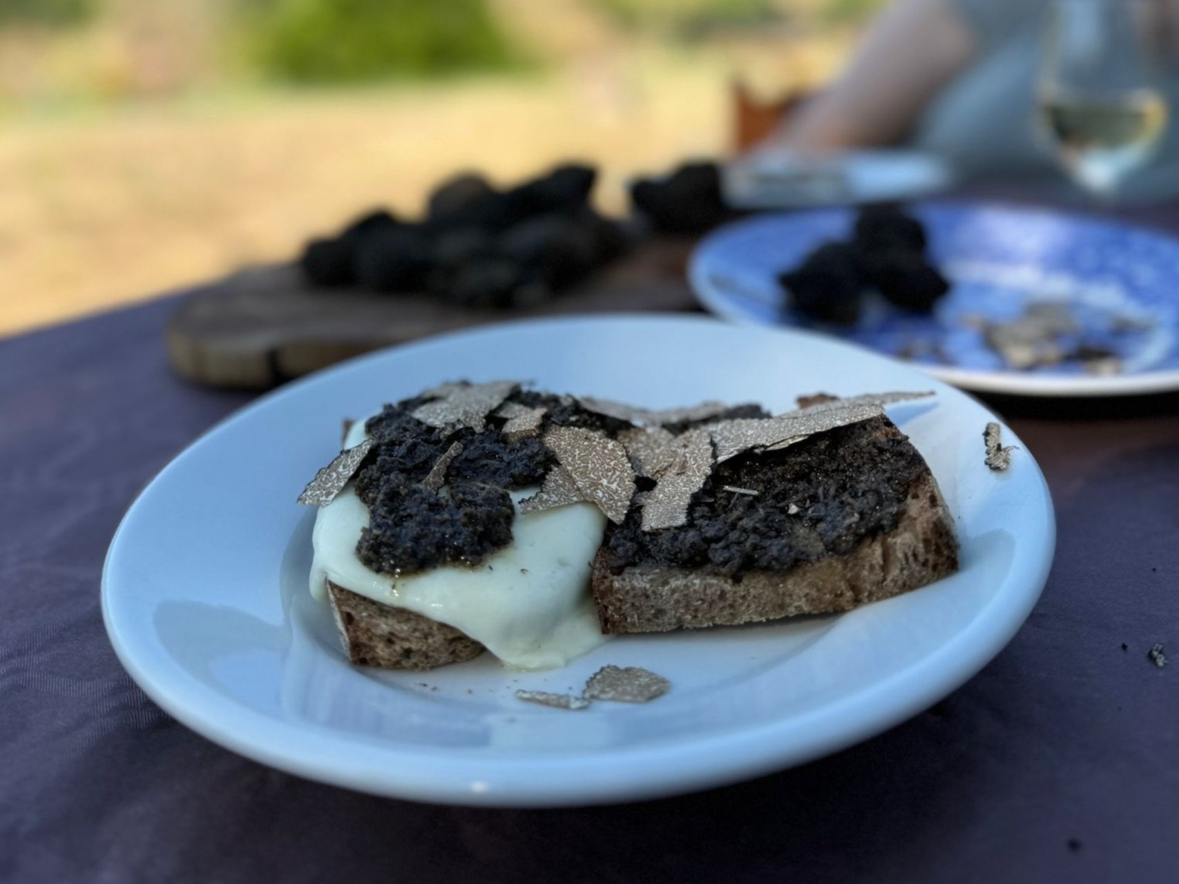 CACCIA AL TARTUFO