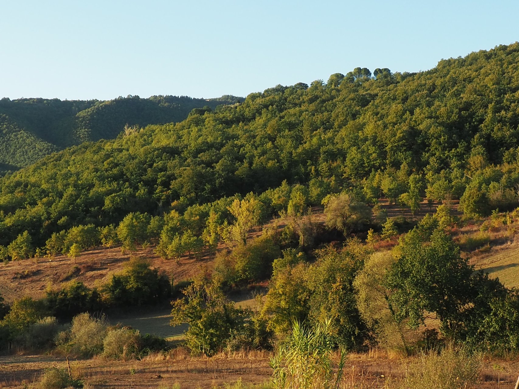 valle libera territorio di caccia
