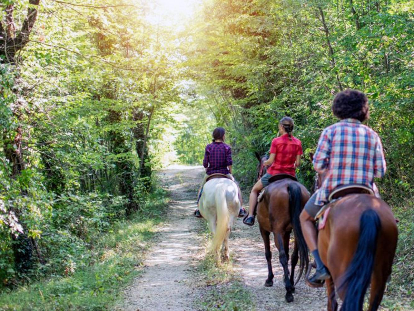 attività ED ESPERIENZE intorno a Valle Libera Umbria