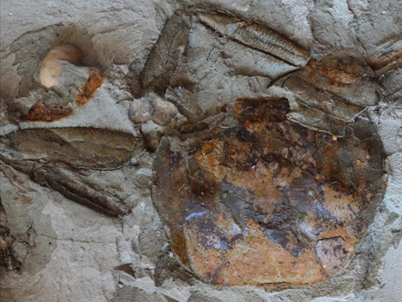 attività ED ESPERIENZE intorno a Valle Libera Umbria