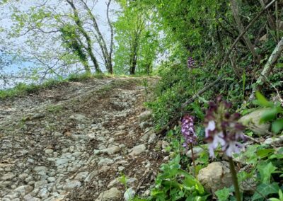 SENTIERI ED ESCURSIONI CHE PARTONO DA AGRIOSTELLO VALLE LIBERA UMBRIA