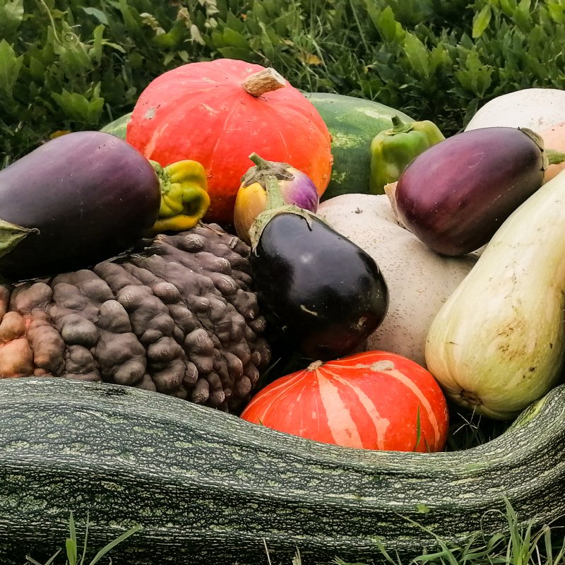 Valle Libera Azienda Agribiologica in Umbria