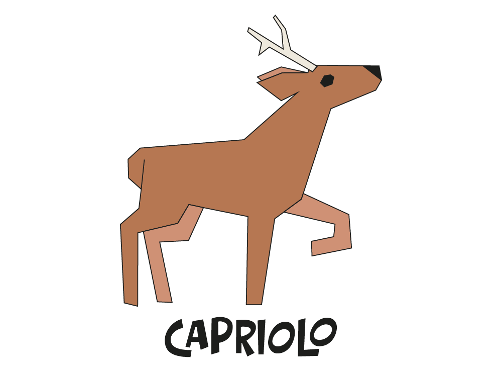 camera agriostello valle libera